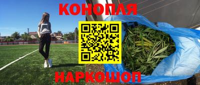 гидропоника Гусев