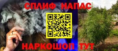 гидропоника Гусев