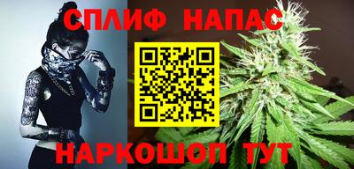 гидропоника Гусев