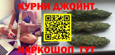 гидропоника Гусев