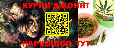 гидропоника Гусев