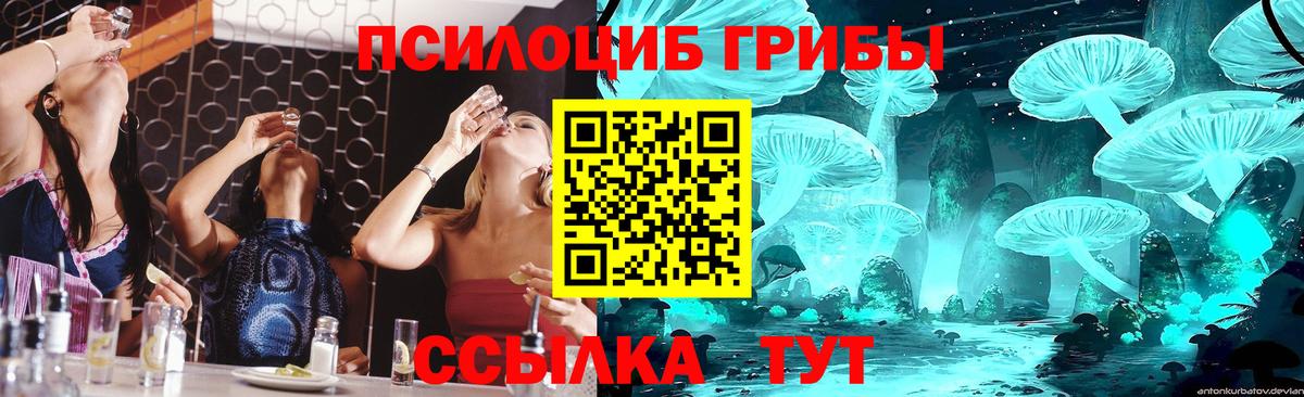 цены наркотик  Псилоцибиновые грибы прущие грибы  Вход с VPN  Глазов  Галлюциногенные грибы мицелий 