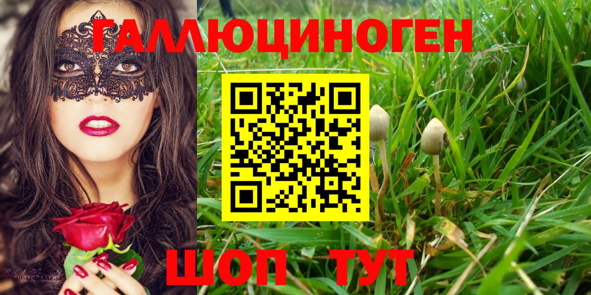 Псилоцибиновые грибы Cubensis Глазов